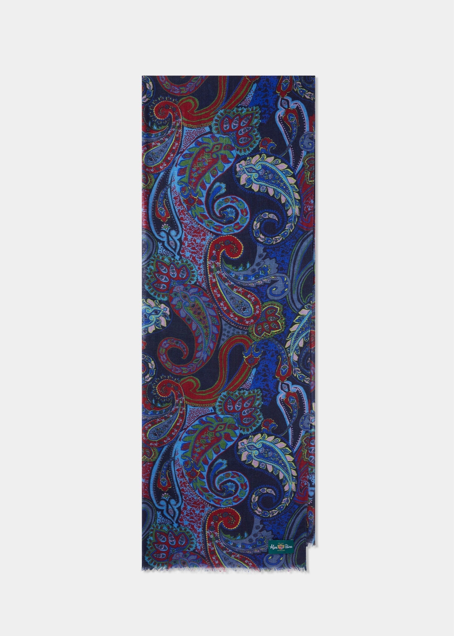 Painswick Paisley Scarf In Navy