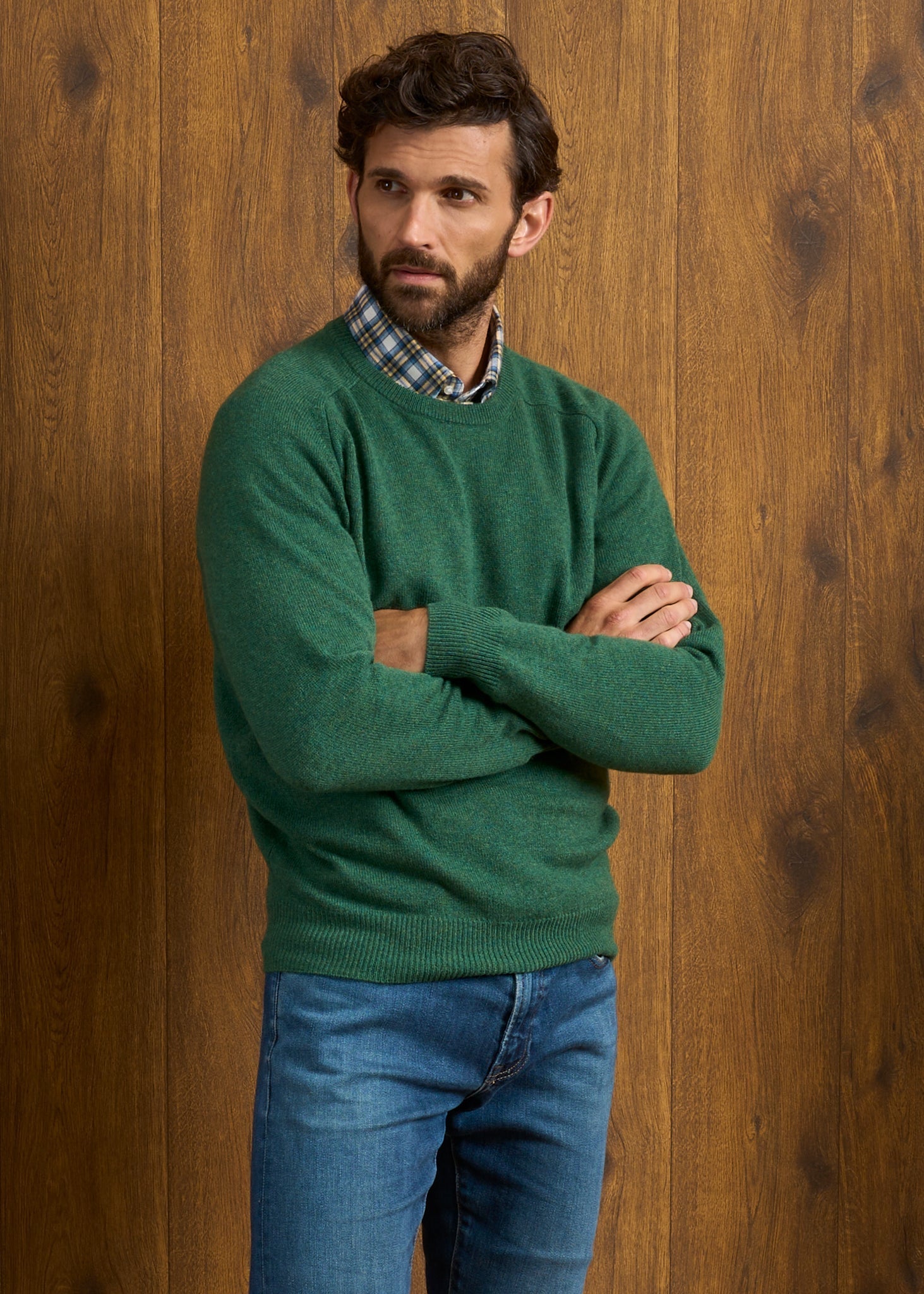 Dorset Men's Lambswool Jumper in Courgette - Classic Fit