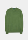 Men's Lambswool Crew Neck Jumper in Palm - Regular Fit